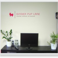Wall Decals for Office