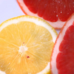 Lemon-and-grapefruit-cut-in-half1181by alegri