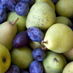 Pears-and-prunes4freephotos
