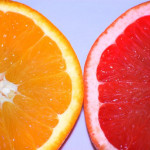 Round-orange-and-grapefruit-slices3494freephotos